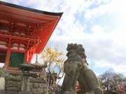 kiyomizu-dera temple