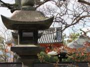 kiyomizu-dera temple