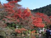 looking back at the kiyomizu-dera temple