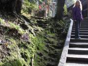 hiking through the torii at fushimi inari