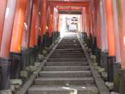 torii tunnel