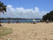 shelly beach