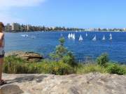 yachts in the harbour, forty baskets