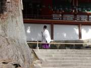 shinto priest at kasuga grand shrine