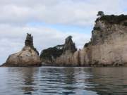 coromandel boat trip