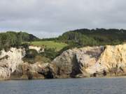 coromandel boat trip