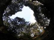 coromandel boat trip