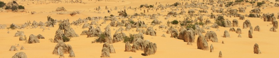 The Pinnacles desert